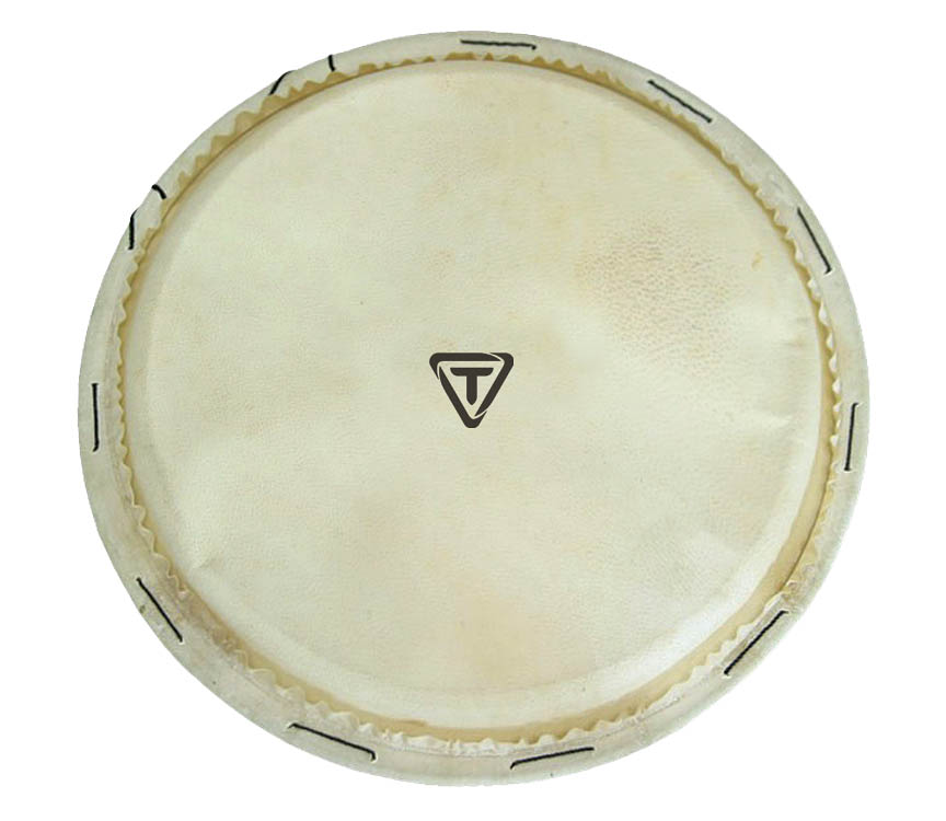 Replacement Goatskin Djembe Head 12″ Hal Leonard Online